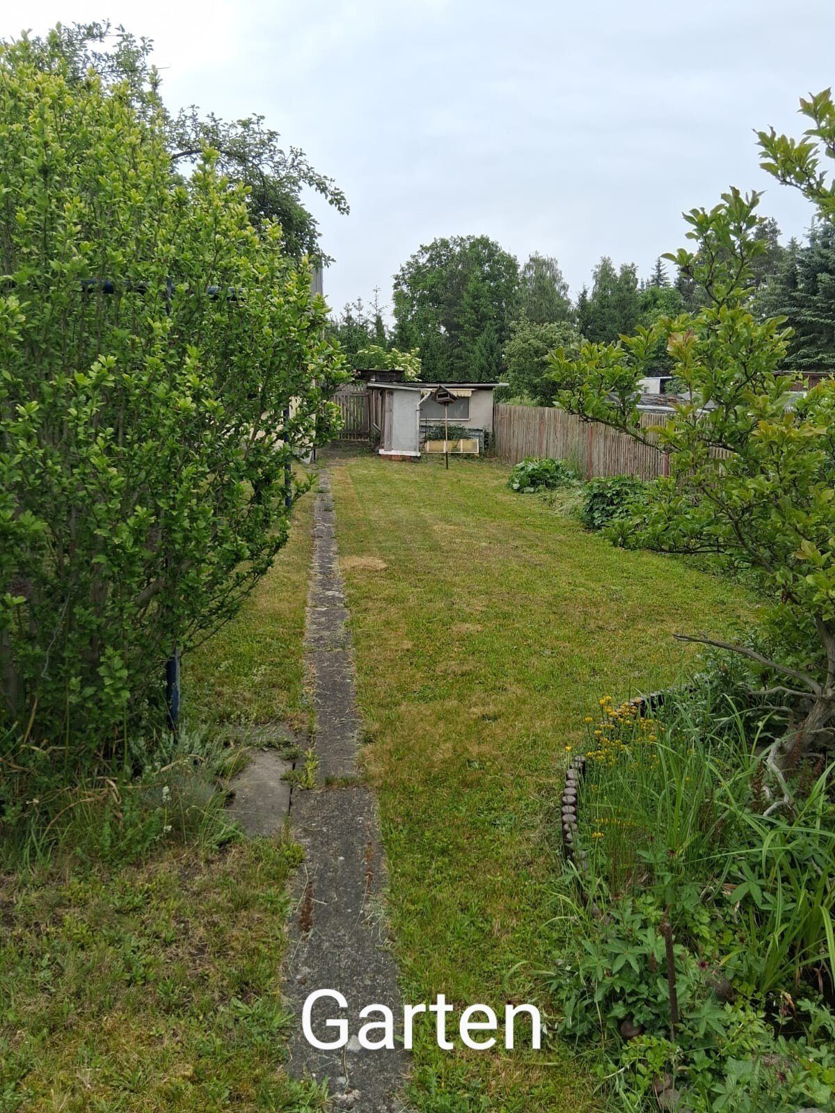 &nbsp;